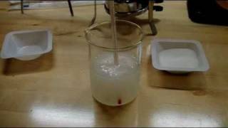 Synthesis of Potassium Nitrate [upl. by Edwin]