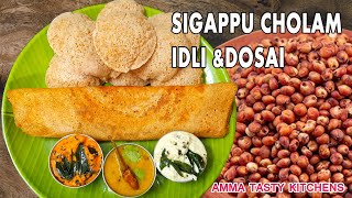 healthy millat rice  சிறுதானியம் சிவப்பு சோளம் இட்லி மாவு  Idli maavu in Tamil  Idli Dosai [upl. by Dyun80]