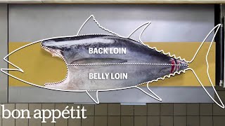 How To Butcher a Whole Tuna Every Cut of Fish Explained  Handcrafted  Bon Appétit [upl. by Stephen]