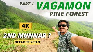 Walking in PINE TREE FOREST vagamon Kerala 🔥 [upl. by Lynde]