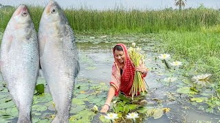 মাঠ থেকে শাপলা তুলে ইলিশ মাছের মাথা দিয়ে রান্না করলাম সাথে বেগুন ইলিশ তেলঝাল  hilsha fish recipe [upl. by Indira]