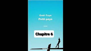 Gaël Faye  Petit pays [upl. by Cence]