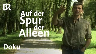 Auf der Spur der Alleen  Bayern erleben  Doku  BR [upl. by Brose]