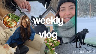 WEEKLY VLOG  się pozmieniało  idę zeznawać na policje storytime🙈 budowa domu  postępy Koko [upl. by Akeemahs]