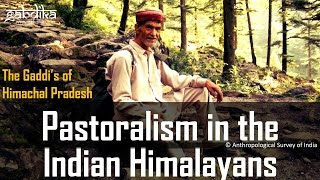 Pastoralism in the Indian Himalayans [upl. by Mazlack]