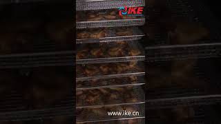 How to dehydrated chicken wings by IKE WRH100 series air dehydrator [upl. by Karole]