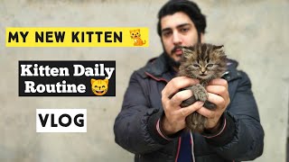 HOW I FEED MY KITTEN  Whiskas Junior [upl. by Okikuy]