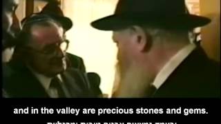 The Lubavitcher Rebbe quotin the valley are precious stonesquot [upl. by Oiragelo]