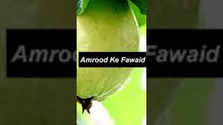 Amrood Eik Mufeed Fruit  Amrood ke Fayde  shortvideo Benefits of Guava [upl. by Euseibbob304]