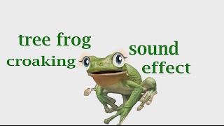 The Animal Sounds Tree Frog Croaking  Sound Effect  Animation [upl. by Atsirc]