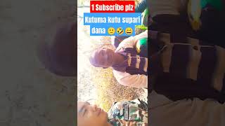 Kutuma kutu supari dana  African munami  Short Video new funny nepali comedy song madan [upl. by Schifra]