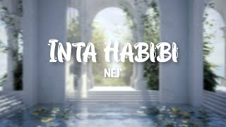 Inta Habibi  Nej Lyrics [upl. by Reehsab]