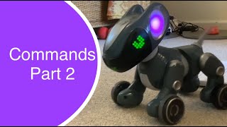 Pyxel a Coders Best Friend Robotic Dog How to Use Commands Part 2 Treat Turn Wiggle etc [upl. by Adela]