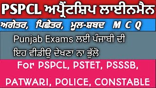 ਅਗੇਤਰ ਪਿਛੇਤਰ Agetar Pichetar MCQ for PSPCL PSTET PSSSB Punjab Exams Constable patwaripolice [upl. by Gui]