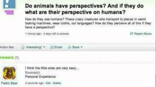 Trolling Yahoo Answers [upl. by Elodie878]