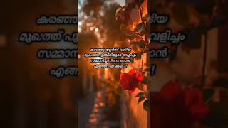 Nice Quotes 💞✨സ്നേഹത്തിന്റെ പൊരുൾ അറിയും മനസ്സ് [upl. by Adnol]