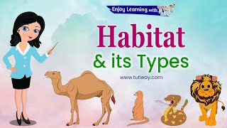 Animals and their Habitats  Habitat of Animals  Animal Habitats  Animal Homes  Science [upl. by Farris]