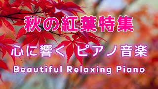 【BGM】🍁秋の紅葉特集🍁秋を彩るリラックス・癒しピアノ音楽🍁心に響く優しい旋律🍁 リラックス 癒し ヒーリング [upl. by Clothilde]