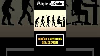 Teoría de la evolución de las especies  Alquimia del Saber  Sh58 prehistoria curiosidades [upl. by Haelem]