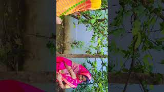 sab bihi khai lihisi rewa comedy rewarewa funny rewaa ytshorts madhyapradesh rewabagheli [upl. by Esme]