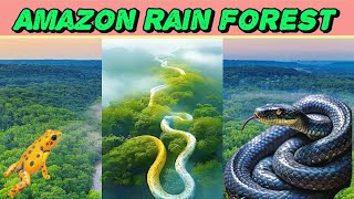 Amazon rainforest documentary👍 🔥 🔥The lungs of earth🫁🫁trending [upl. by Chev]