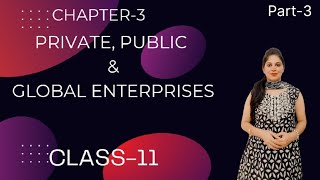 Class11 Chapter3 Private Publicamp Global Enterprises [upl. by Trescha]