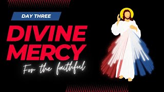 DAY THREE DIVINE MERCY NOVENA Prayer for the Devout and Faithful [upl. by Audsley743]