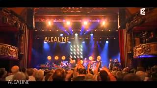 Alcaline le concert Bernard Lavilliers France 2 20140605 [upl. by Coppock]