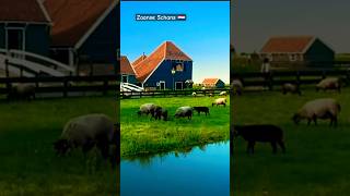 beautifulview🇳🇱zaanse schans netherlands europe nature youtubeshorts relaxingmusic shortvideo [upl. by Leugimsiul47]