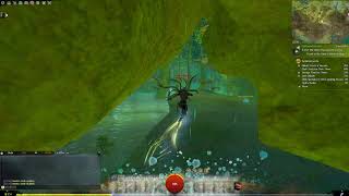 Guild Wars 2 Jumping Puzzle  Spelunkers Delve Caledon Forest [upl. by Arnie153]