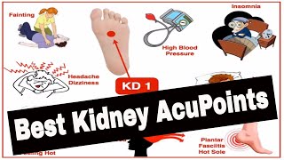 Best Acupuncture Points of the Kidney Channel [upl. by Releehw525]