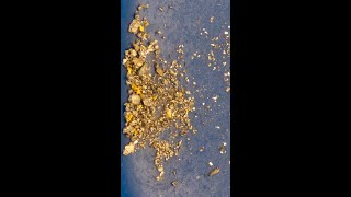 You CAN Roast Quartz to Extract Gold [upl. by Kissiah]