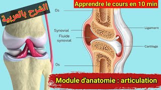 les articulations  anatomie et physiologie [upl. by Griffis]