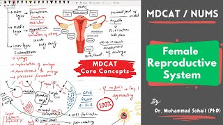 MDCAT  Female Reproductive Cycle  Menstrual Cycle  Hormonal control [upl. by Rasla413]