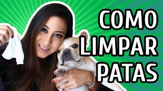 Copo Limpador Limpa Patas De Cachorro gato Pets [upl. by Pauline]