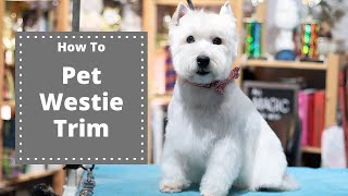 Westie Pet Trim  with Master Groomer [upl. by Layap]