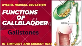 FUNCTIONS of Gallbladder Gallbladder anatomy extrahepatic biliary apparatusayeshamedicaleducation [upl. by Erbe]