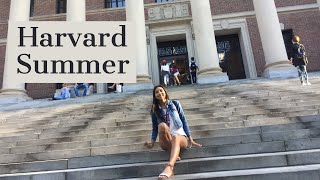 HOW TO GET INTO HARVARD PRECOLLEGE PROGRAM [upl. by Gladine]