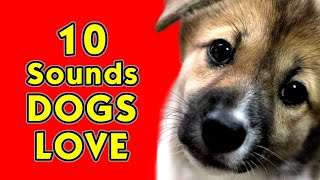 10 Sounds that Dogs love the most [upl. by Onurb902]