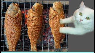 Grilled Hamour fish  Special Fish Grill Recipe  Homebaking CLT [upl. by Gibbeon]