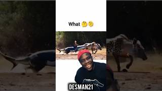 Try not to laugh 😂🔥😂 pt 6 funny memer comedyshorts comedyvideos shortvideos shorts [upl. by Haeluj]