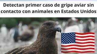 Detectan primer caso de gripe aviar sin contacto con animales en Estados Unidos [upl. by Hofstetter]