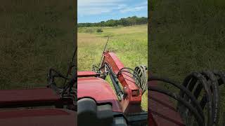 So tempting to brush hog right over this spring wet spotspring wetspot tractor brushhog caseih [upl. by Koller154]