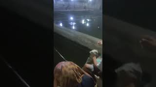 Nikmat nya tarikan ikan mantaap👍👍 [upl. by Ahsykal]