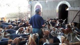 Preparing to Feed the Hounds of Château de Cheverny [upl. by Aerdnaxela]