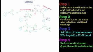 The BuchwaldHartwig Amination Reaction [upl. by Brelje814]