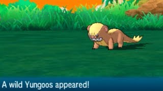 Pokemon Sun amp Moon  How to Catch YUNGOOS Route 1 [upl. by Gavra607]