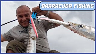 Thrilling Barracuda Encounter Before the Storm Hits Tips amp Explanations Feat Barra Jerk 210 [upl. by Bram]