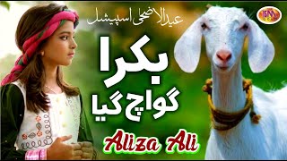 Aliza Ali  Mera Bakra Guwach Gaya  Bakra Eid Nasheed 2021  Beautiful Video [upl. by Koziara]