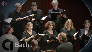 JS Bach Motet BWV 227 Jesu meine Freude  Vocalconsort Berlin HD [upl. by Hilton]